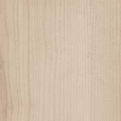 Maple wood grain